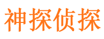 孝南市调查公司